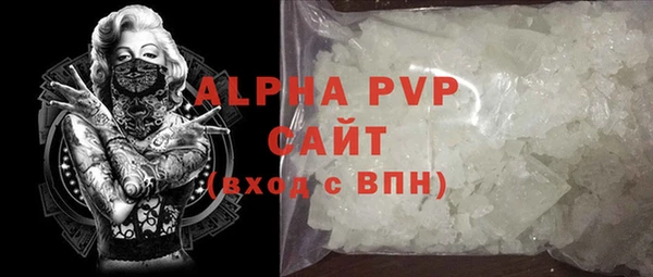 прущие грибы Осинники