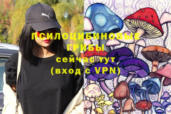 ешки Переславль-Залесский