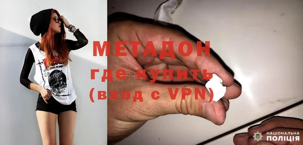 прущие грибы Осинники