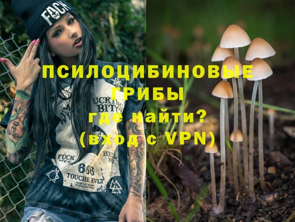 ешки Переславль-Залесский