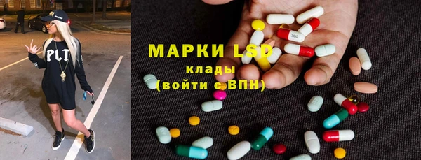 прущие грибы Осинники