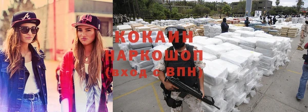 прущие грибы Осинники